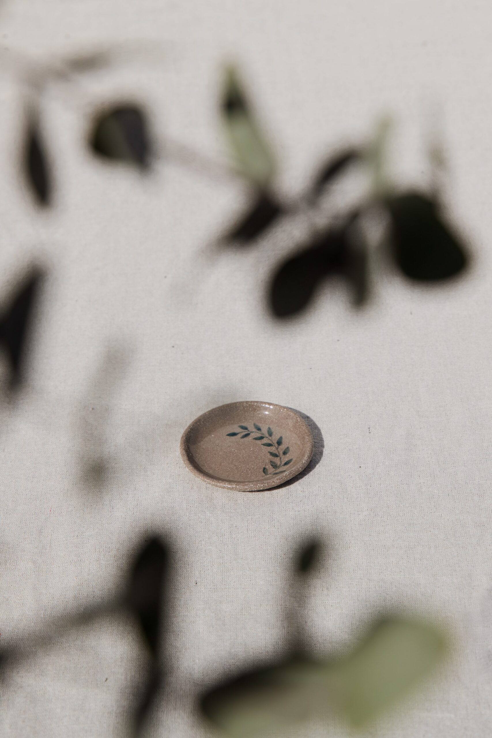 Olive branches casting soft shadows over a ceramic vessel in the Afis Yfes studio